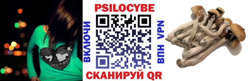 Галлюциногенные грибы Psilocybine cubensis  сколько стоит  Балаково 